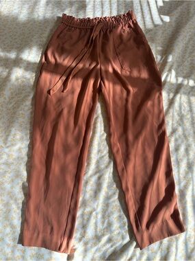 Zara Wide-Leg Drawstring Pants in Rust